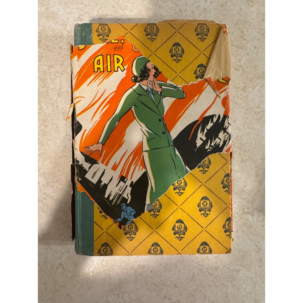 Jane‎ Stewardess of the Air Lines by Ruthe S Wheeler Goldsmith Publishing 1934